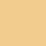 4538 Beige