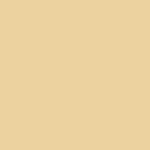 543 BEIGE