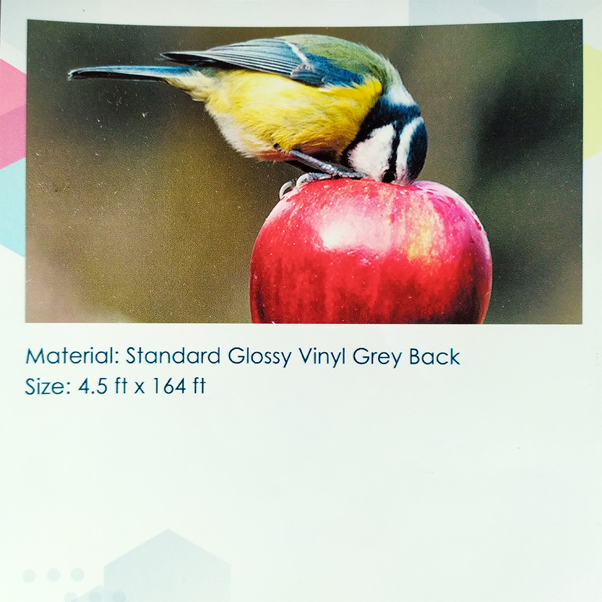 Standard Glossy Vinyl Grey Back