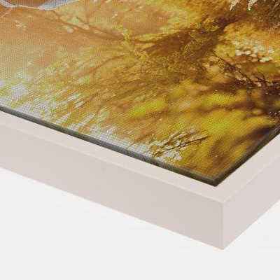 canvas-frames-closeup-front-white