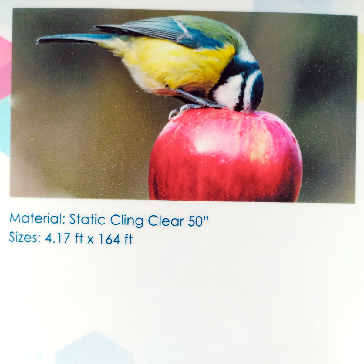 Static Cling Clear 50