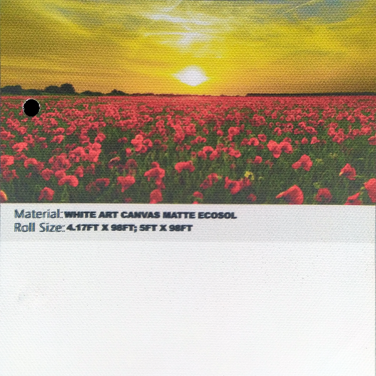 White Art Canvas Matte Ecosol