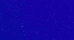 Pantone 2747 C