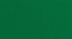 Pantone 349C